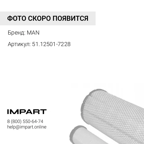 MAN51.12501.7228 фильтр насоса подкачивающ
