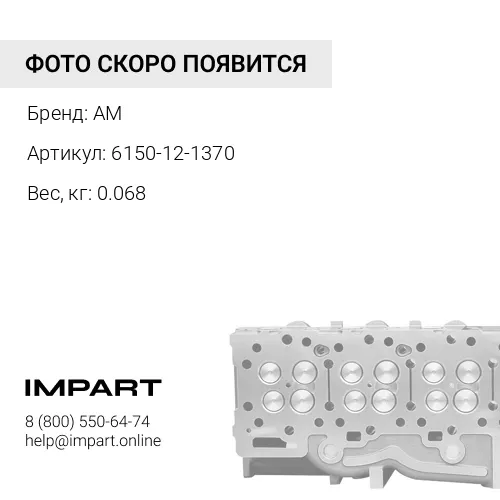 6150-12-1370 Направляющая клапана AM