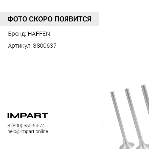 3800637 Клапан выпускной HAFFEN