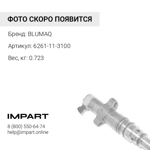 6261-11-3100 Форсунка в сборе BLUMAQ