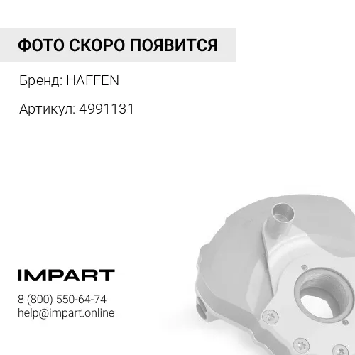 4991131 Гаситель крутильных колебаний ISBe 5268643 HAFFEN