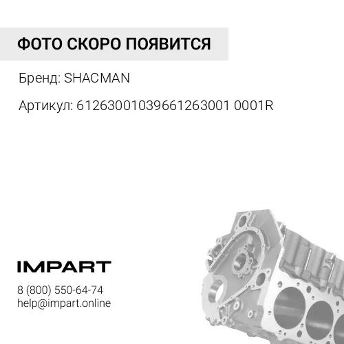 612630010396612630010001R Блок цилиндров WP12 SHACMAN