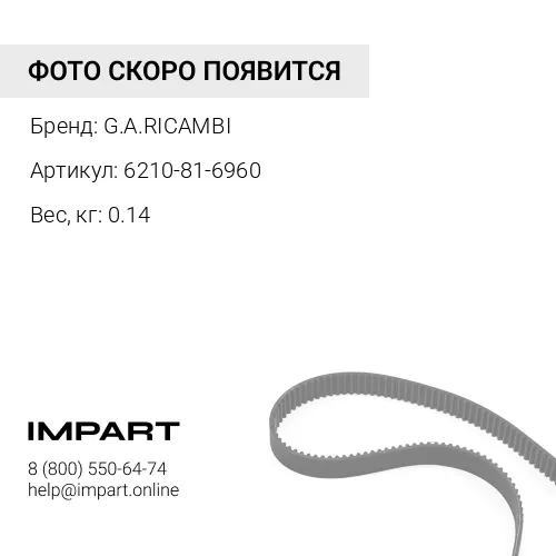 6210-81-6960 Ремень (к-кт из 2 ремней) G.A.RICAMBI