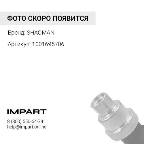1001695706 Насос маслянный в сборе WP13 Shacman SHACMAN