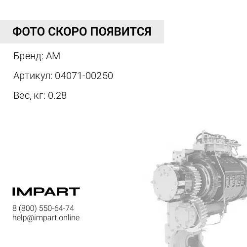 04071-00250 Кольцо AM