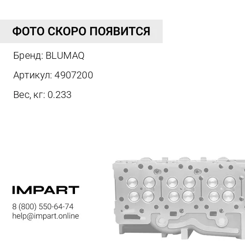 4907200 Клапан выпускной