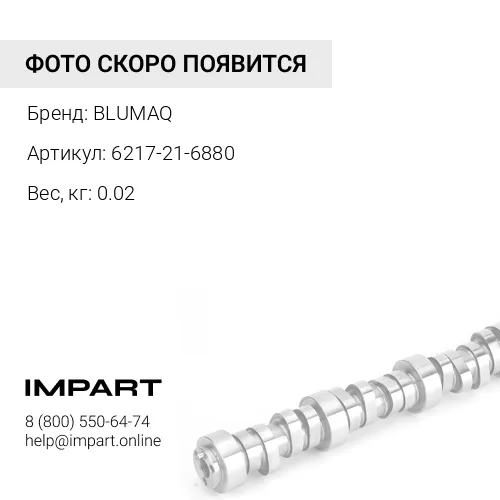 6217-21-6880 Уплотнение BLUMAQ