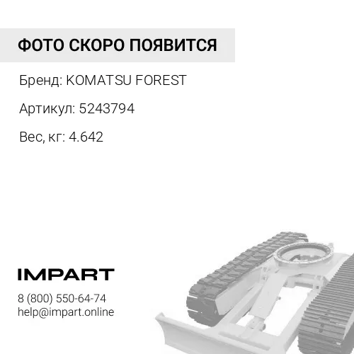 5243794 ПЛАСТИНА