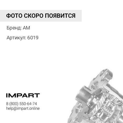 6019 Подшипник M/C4