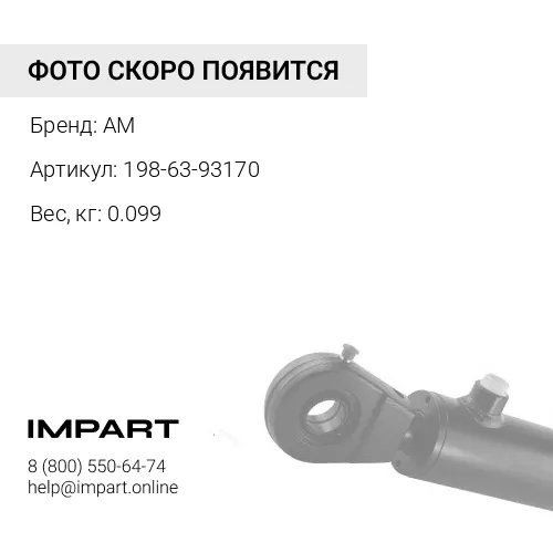 198-63-93170 Сальник AM