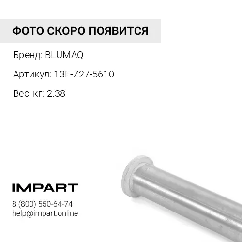 13F-Z27-5610 Палец BLUMAQ