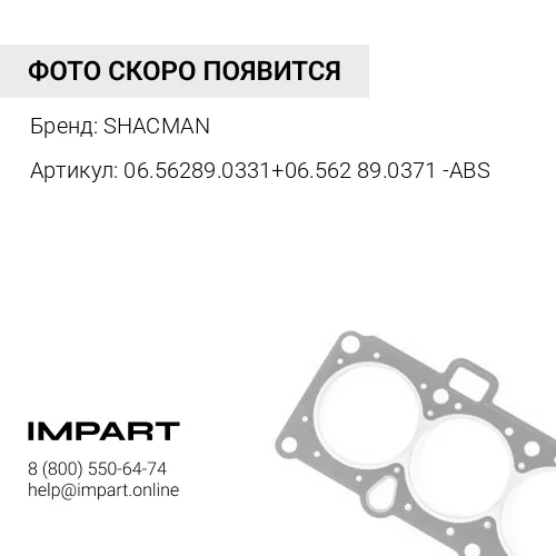 06.56289.0331+06.56289.0371 -ABS Сальник ступицы заднего моста c ABS (к-т 2 шт) F3000 145x175x14 SHACMAN