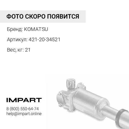 421-20-34521 ОСЬ КРЕПЕЖНАЯ В СБОРЕ