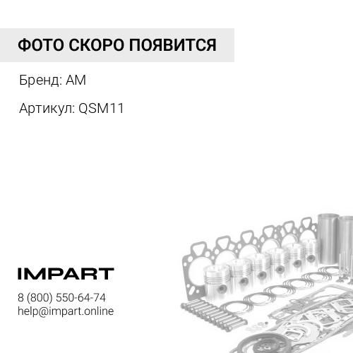 QSM11 Набор уплотнений ДВС ISM11 / QSM11 / M11 (K1) QSM11