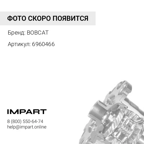 6960466 Подшипник дифференциала BOBCAT