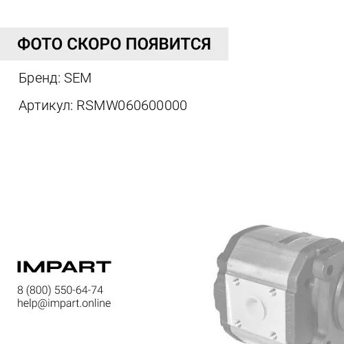 RSMW060600000 Насос SEM