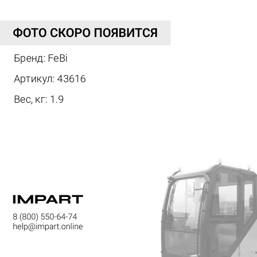 43616 Пружина кабины FH 12 NEW FeBi