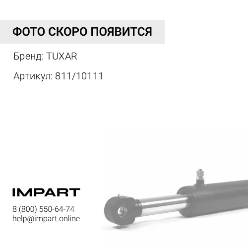 811/10111 Палец JCB