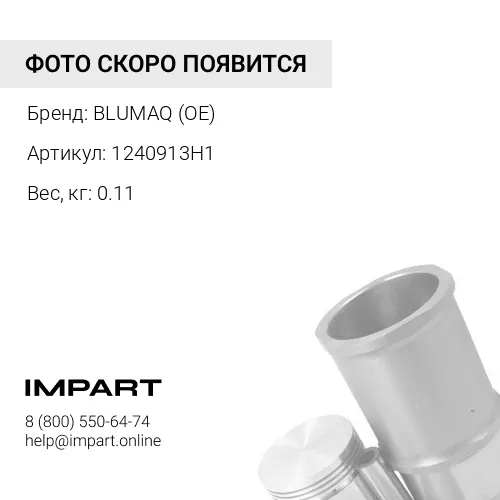 1240913H1 ВКЛАДЫШ