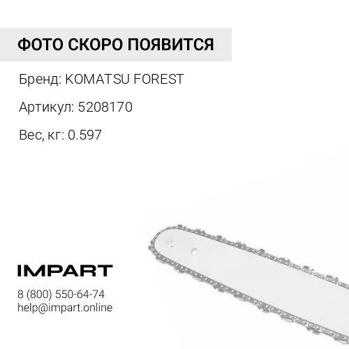 5208170 ЦЕПЬ