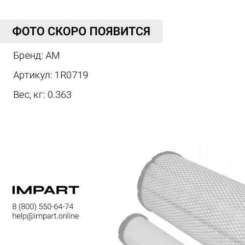 1R0719 Элемент фильтрующий