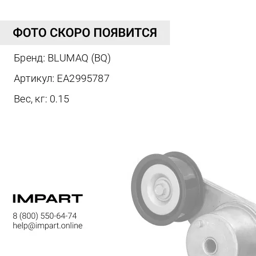 EA2995787 ПОДШИПНИК ГЛАВНЫЙ