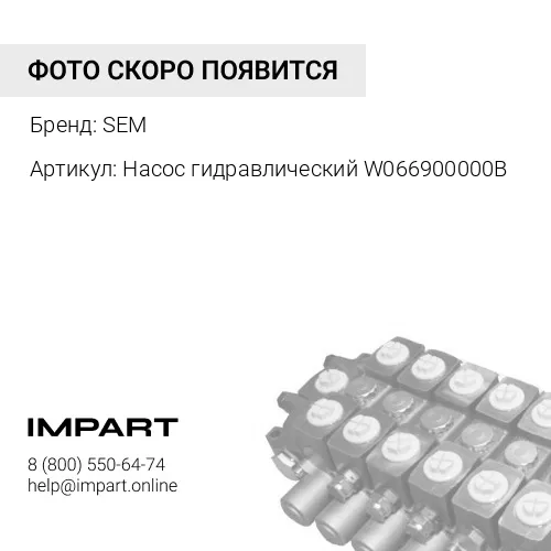 W066900000B Насос гидравлический W066900000B SEM