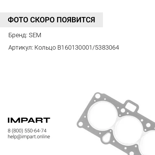 B160130001 Кольцо B160130001/5383064 SEM