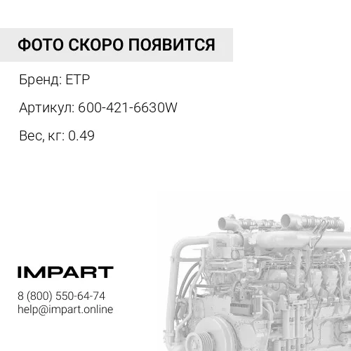 600-421-6630W Термостат 248-5513