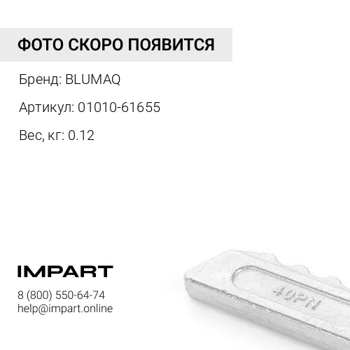 01010-61655 Болт BLUMAQ