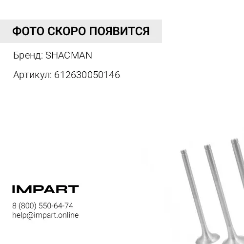 612630050146 Клапан впускной WP13 Shacman SHACMAN
