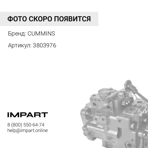 3803976 Поршень M11 в сборе