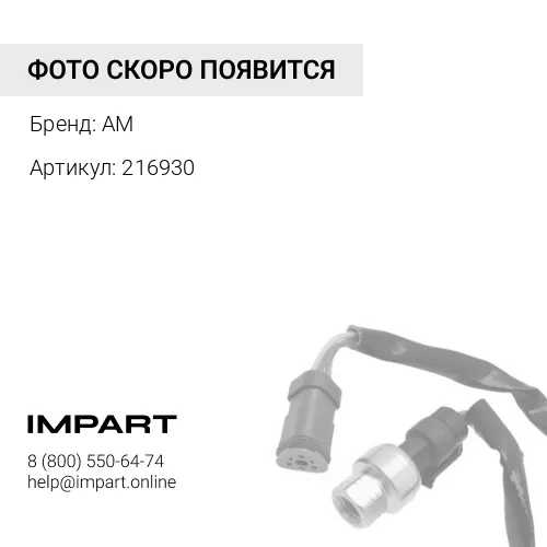 216930 Соленоид