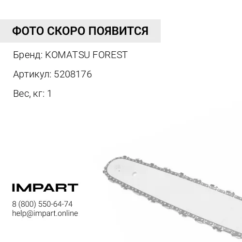 5208176 ЦЕПЬ