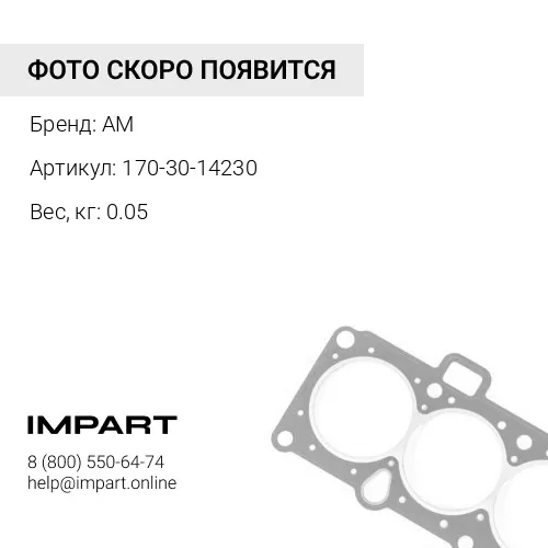 170-30-14230 Кольцо 170-30-14240 AM