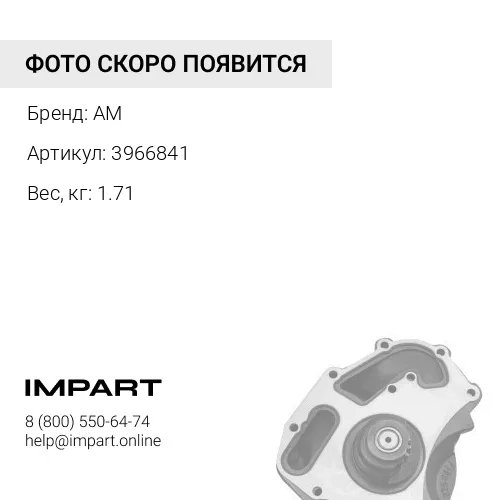 3966841 Насос водяной