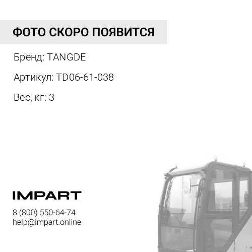 TD06-61-038 Насос подъема кабины DAF TANGDE