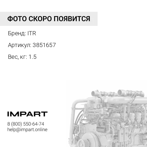 3851657 Шестерня