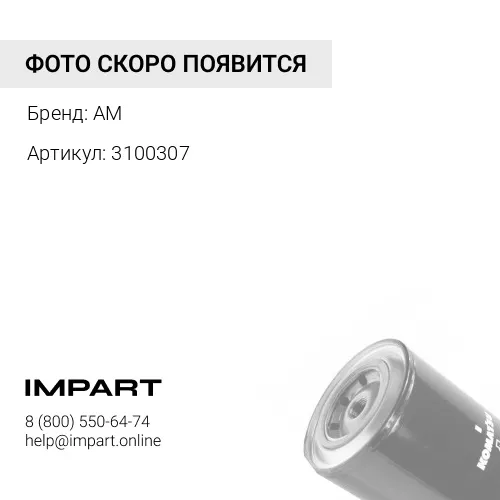 3100307 Фильтр антикоррозионный P554073 3100307