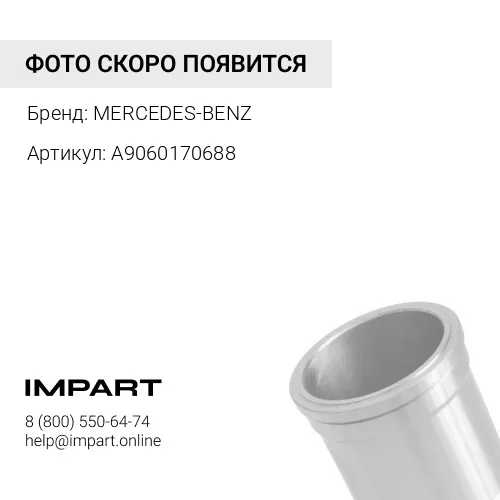 A9060170688 Гильза свечи зажигания a9060170688 MERCEDES-BENZ