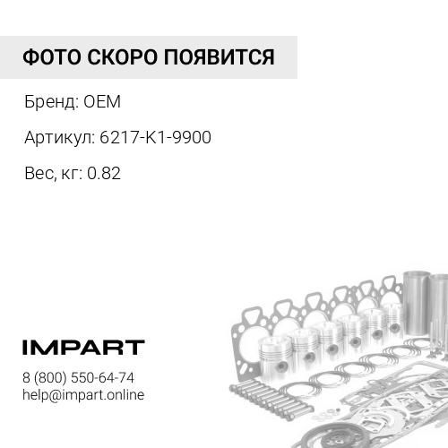 6217-K1-9900 Ремкомплект ДВС OEM