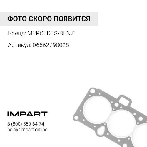 06562790028 Сальник 7210513 хвостовик ред.