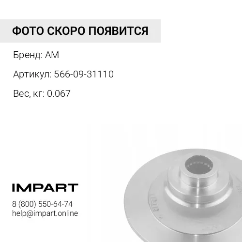 566-09-31110 Кольца уплотнительные AM