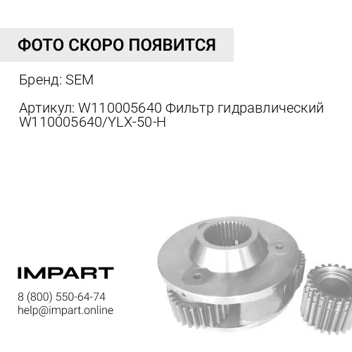 W110005640 Фильтр гидравлический W110005640/YLX-50-H SEM
