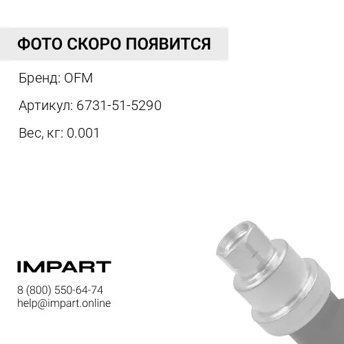 6731-51-5290 о-кольцо OFM