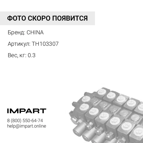 TH103307 Втулка направляющая 100х50 TH103307