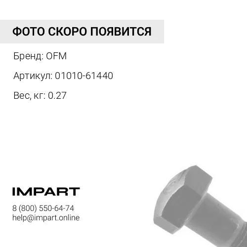 01010-61440 Болт OFM