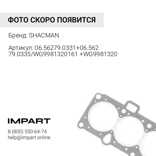06.56279.0331+06.56279.0335/WG9981320161+WG9981320 Сальник редуктора среднего моста (75x95x10) F3000 SHACMAN