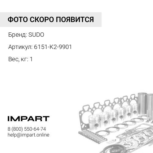 6151-K2-9901 Ремкомплект