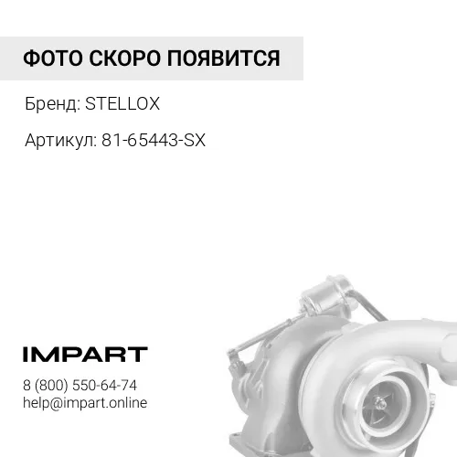 81-65443-SX 81-65443-SX_прокладка (м) турбокомпрессора DD модель TK60/MK60 FRL, Intern STELLOX